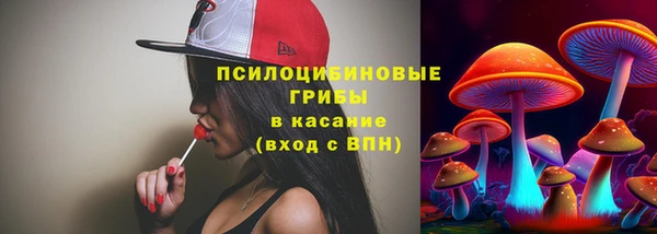 a pvp Алзамай