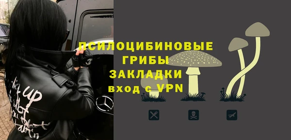 a pvp Алзамай