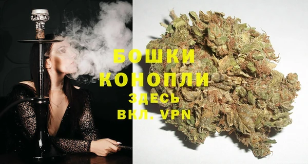 бошки Алексин