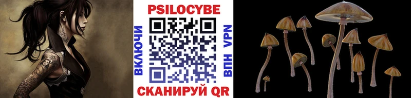Псилоцибиновые грибы ЛСД продажа наркотиков Яровое